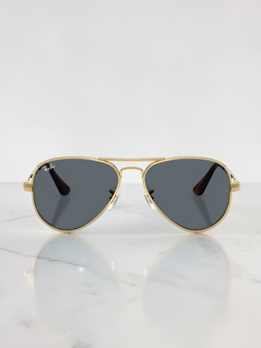 عینک آفتابی ریبن مدل RB3925 Aviator Max