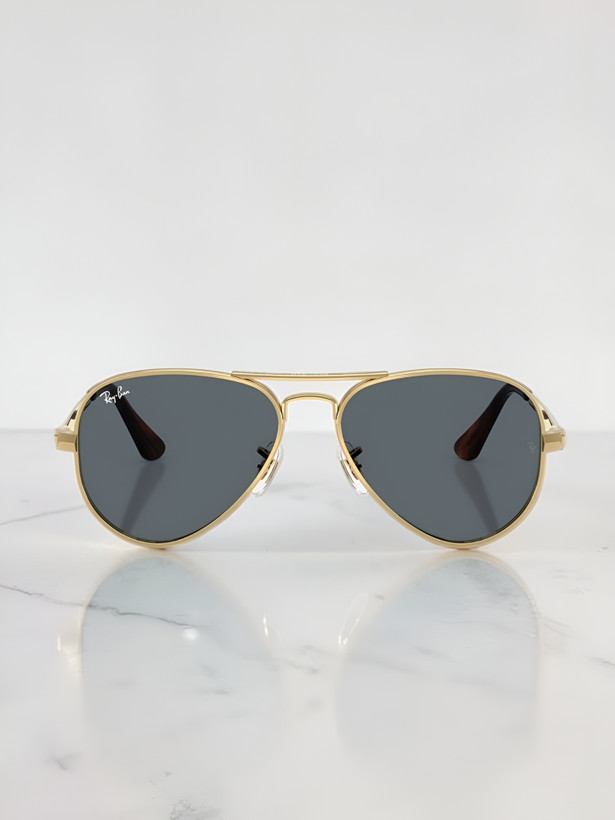عینک آفتابی ریبن مدل RB3925 Aviator Max