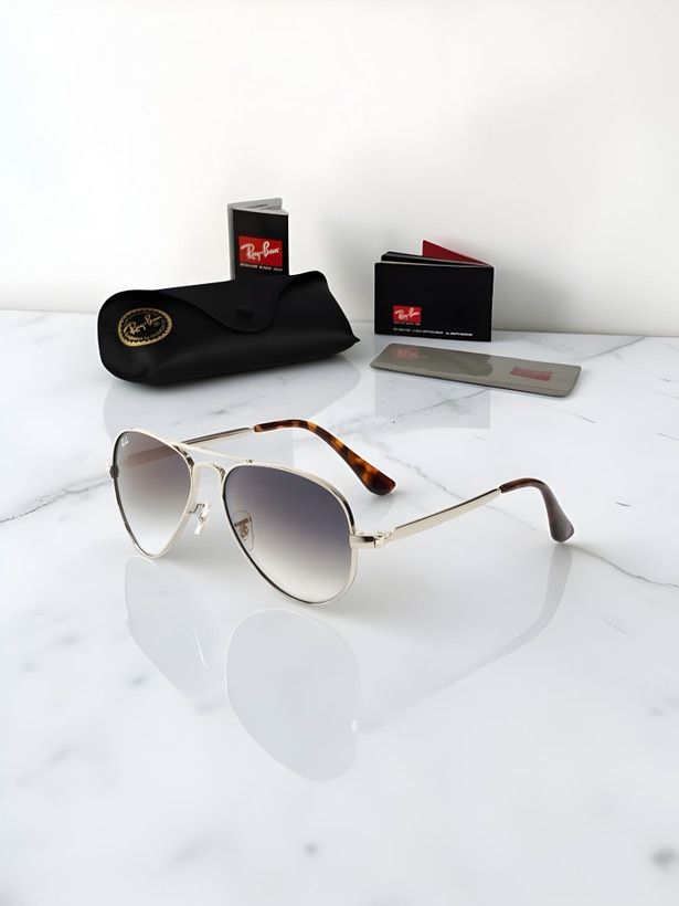 عینک آفتابی ریبن مدل RB3925 Aviator Max